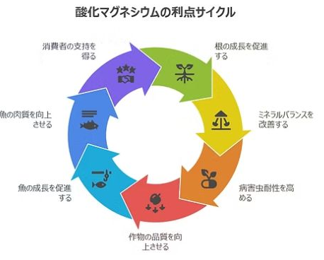 氧化镁的优势循环：通向根系生长、矿物质平衡、病虫害抗性、作物品质、鱼类生长、鱼肉品质、消费者支持的循环